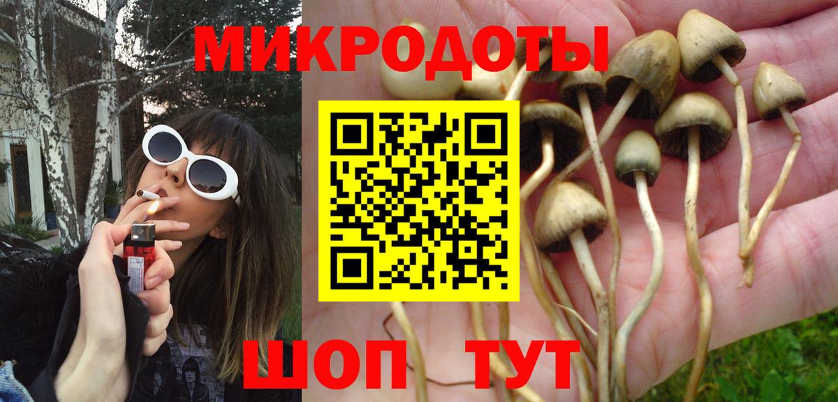 Псилоцибиновые грибы прущие грибы Фролово