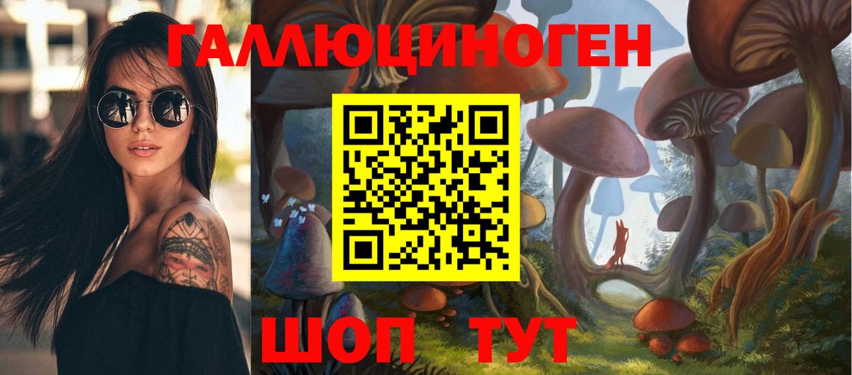 Фролово  Галлюциногенные грибы Psilocybe  Вход с VPN 